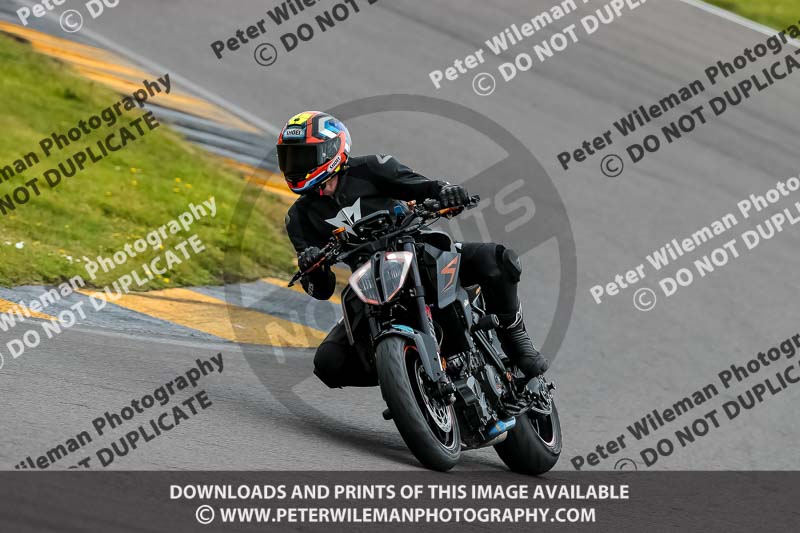 PJ Motorsport 2019;anglesey no limits trackday;anglesey photographs;anglesey trackday photographs;enduro digital images;event digital images;eventdigitalimages;no limits trackdays;peter wileman photography;racing digital images;trac mon;trackday digital images;trackday photos;ty croes